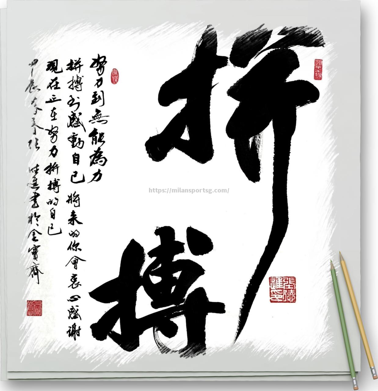 米兰体育-无懈可击的表现，球员努力拼搏谱写胜利篇章
